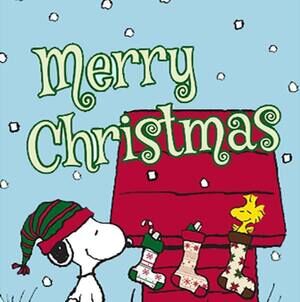 Meet your Posher, Lycinda